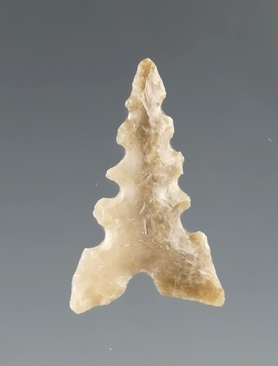 13/16" Nicely serrated Toyah point found in Texas.