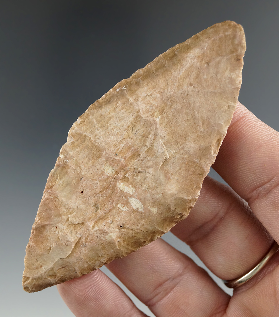 Main artifact image