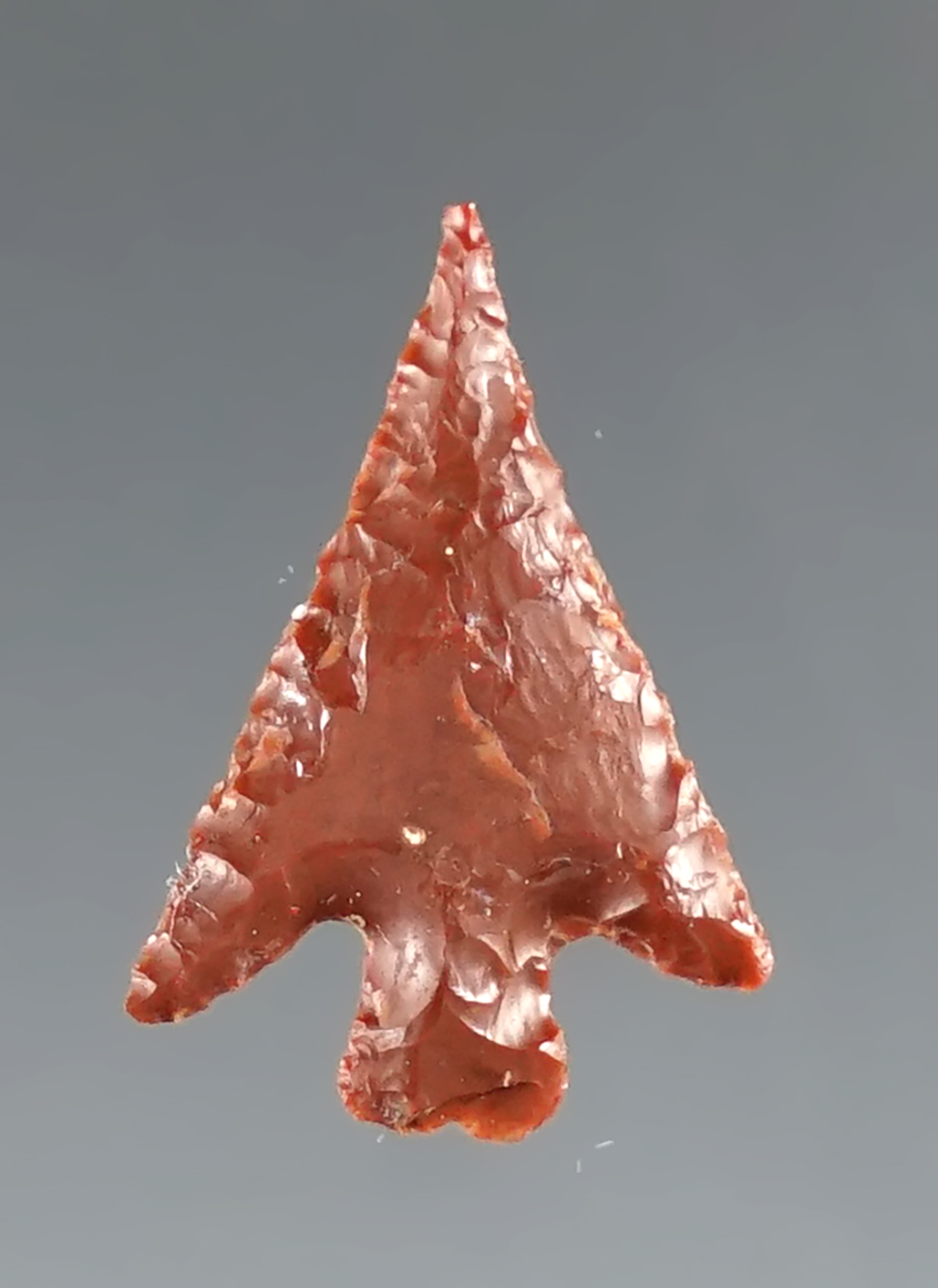 Excellent flaking on this 3/4" beautiful red Jasper Columbia Plateau found near the Columbia River.