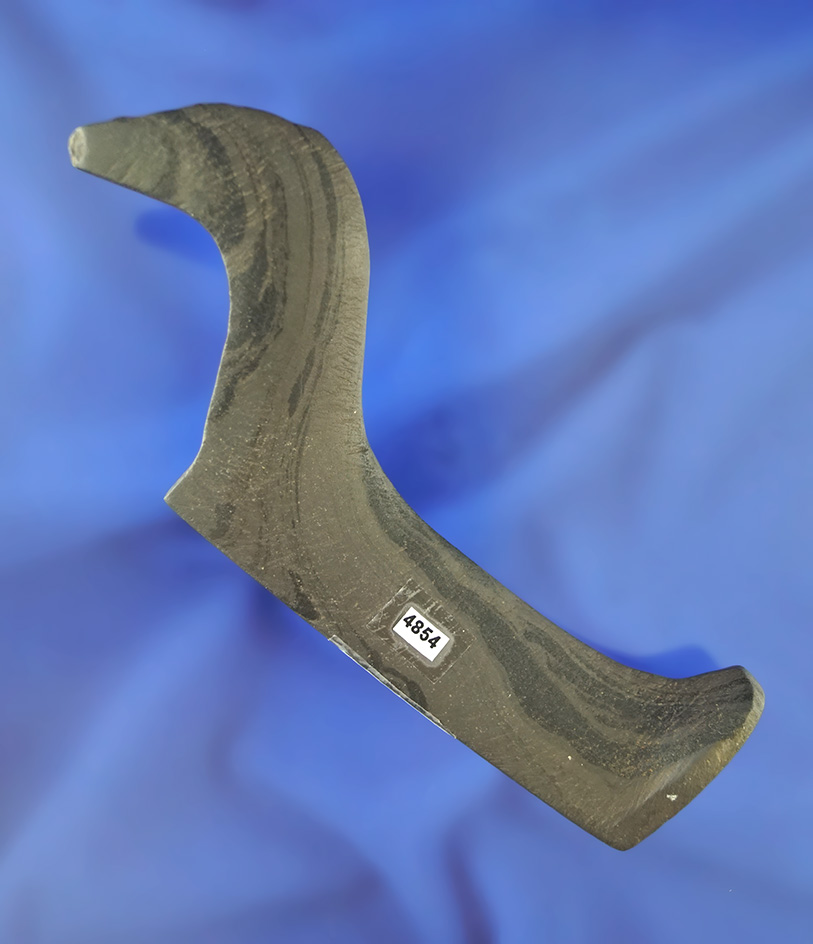 Main artifact image
