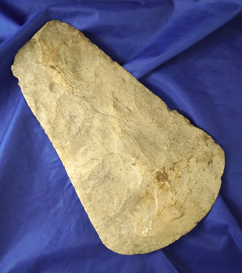 Main artifact image