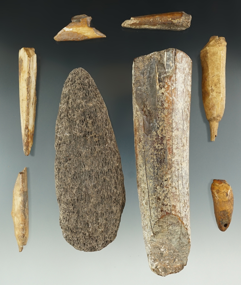 Main artifact image
