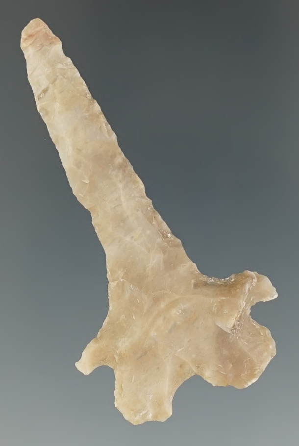 Main artifact image