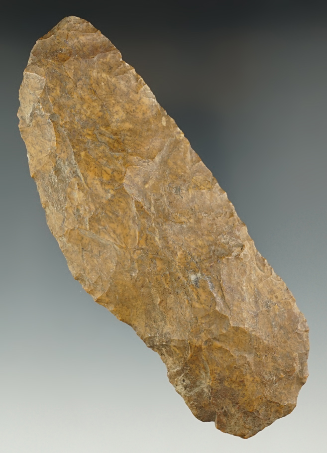 Main artifact image