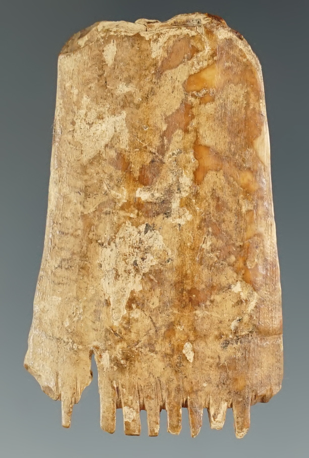 Main artifact image