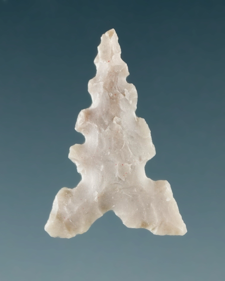 Nicely serrated 11/16" Toyah found in Texas.