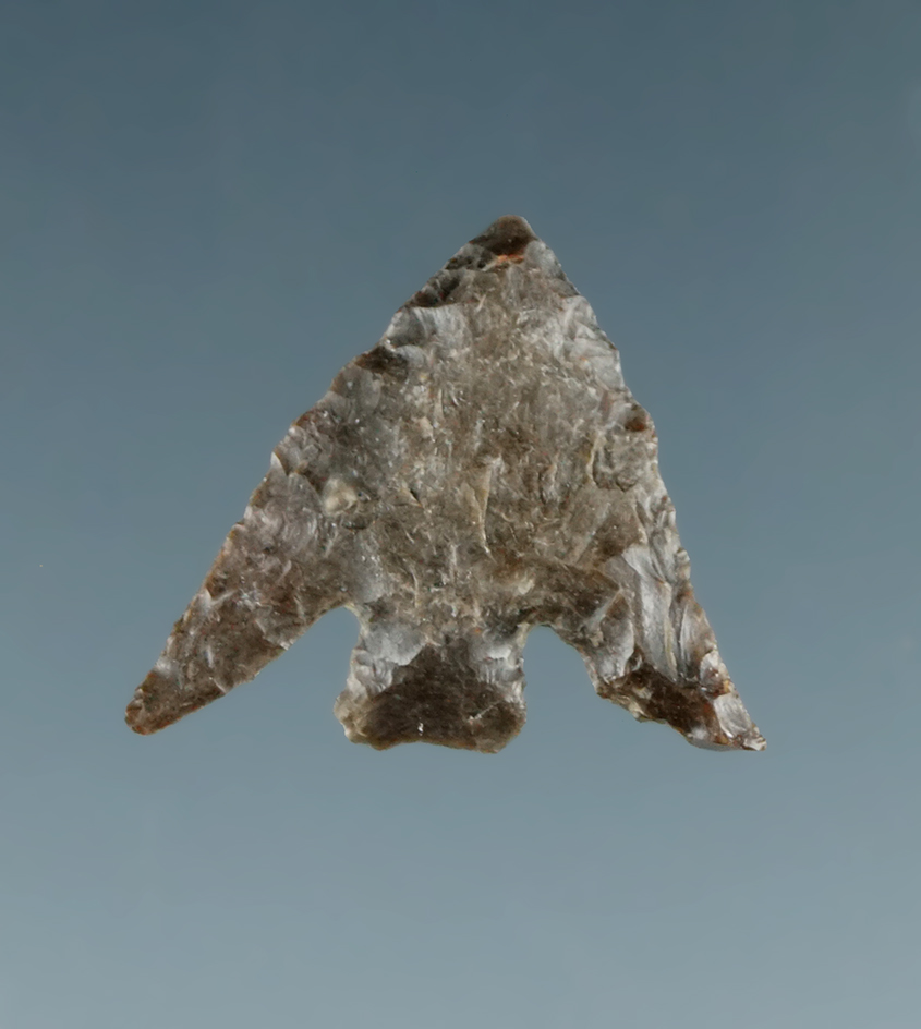 11/16" Columbia Plateau with nice swept wings found near the Columbia River.