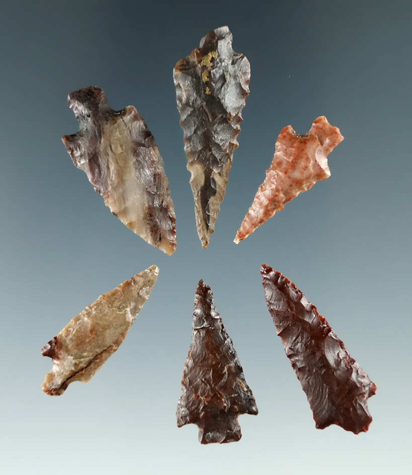 Group of six Columbia River Gem points, largest is 1 5/16".