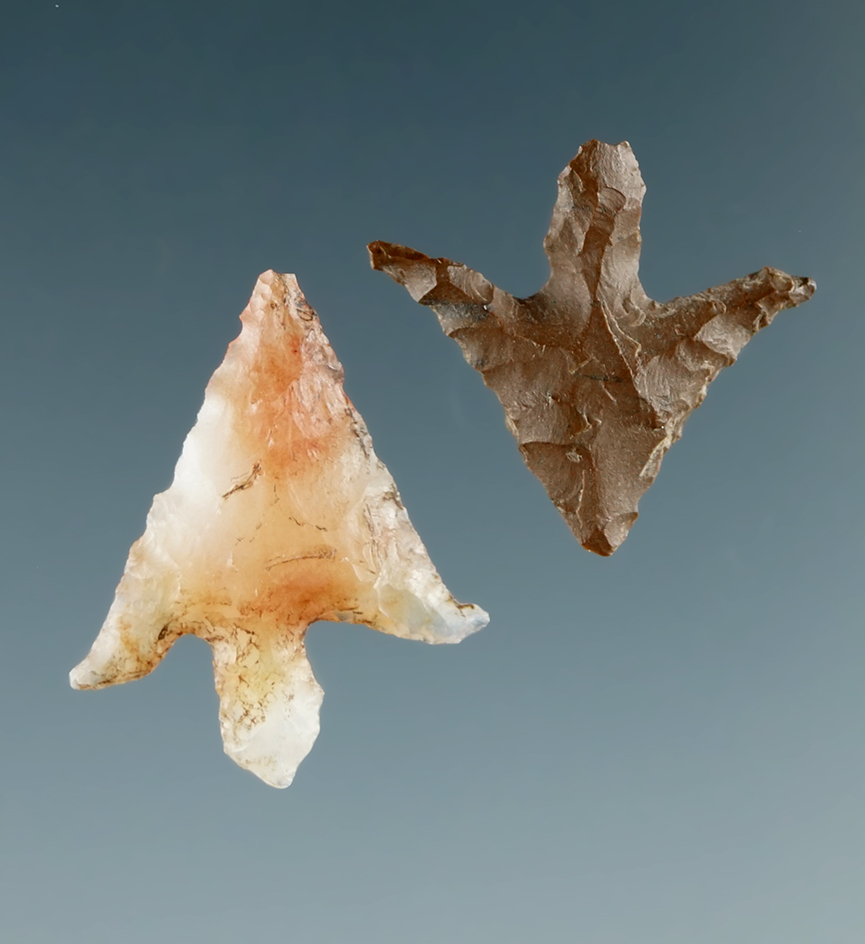 Pair of Columbia River Gem  points with nice long swept ears. Largest is 3/4". Ex. Dewey Schmid.