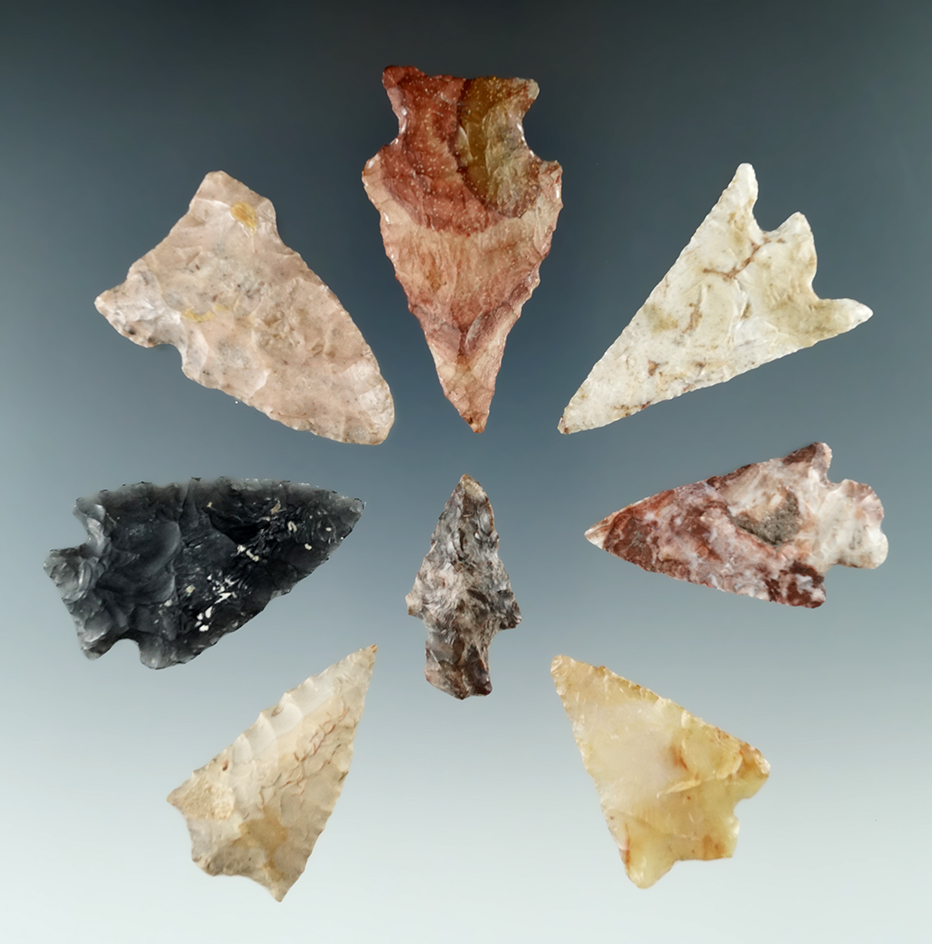 Group of eight points and Knives found near the Columbia River, largest is 1 13/16".