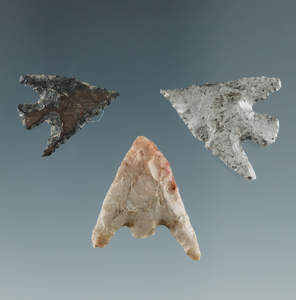 Set of three Gunther points found in Oregon from the Emory Strong collection. Largest is 15/16".