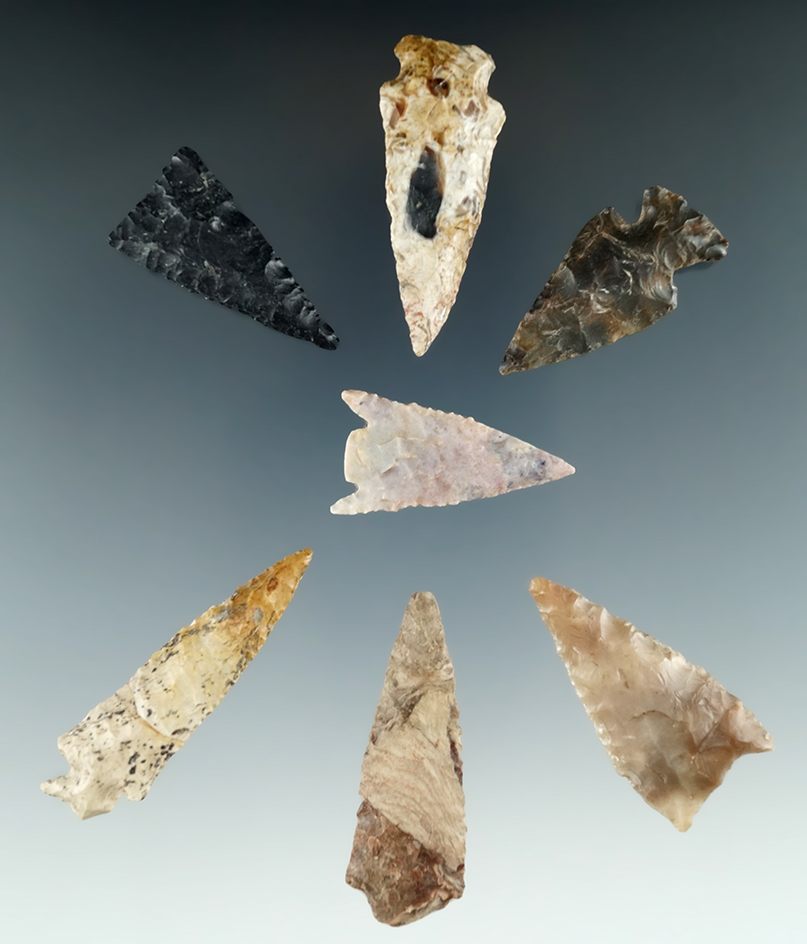 Set of seven assorted Columbia River arrowheads, largest is 2 1/8".