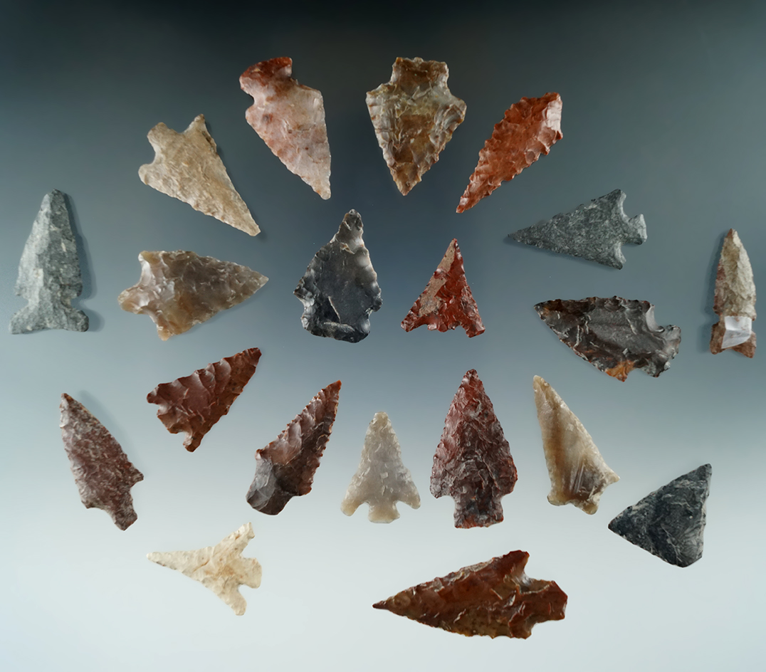 Group of 20 assorted arrowheads found near the Columbia River by Norma Berg. Largest is 1 5/8".