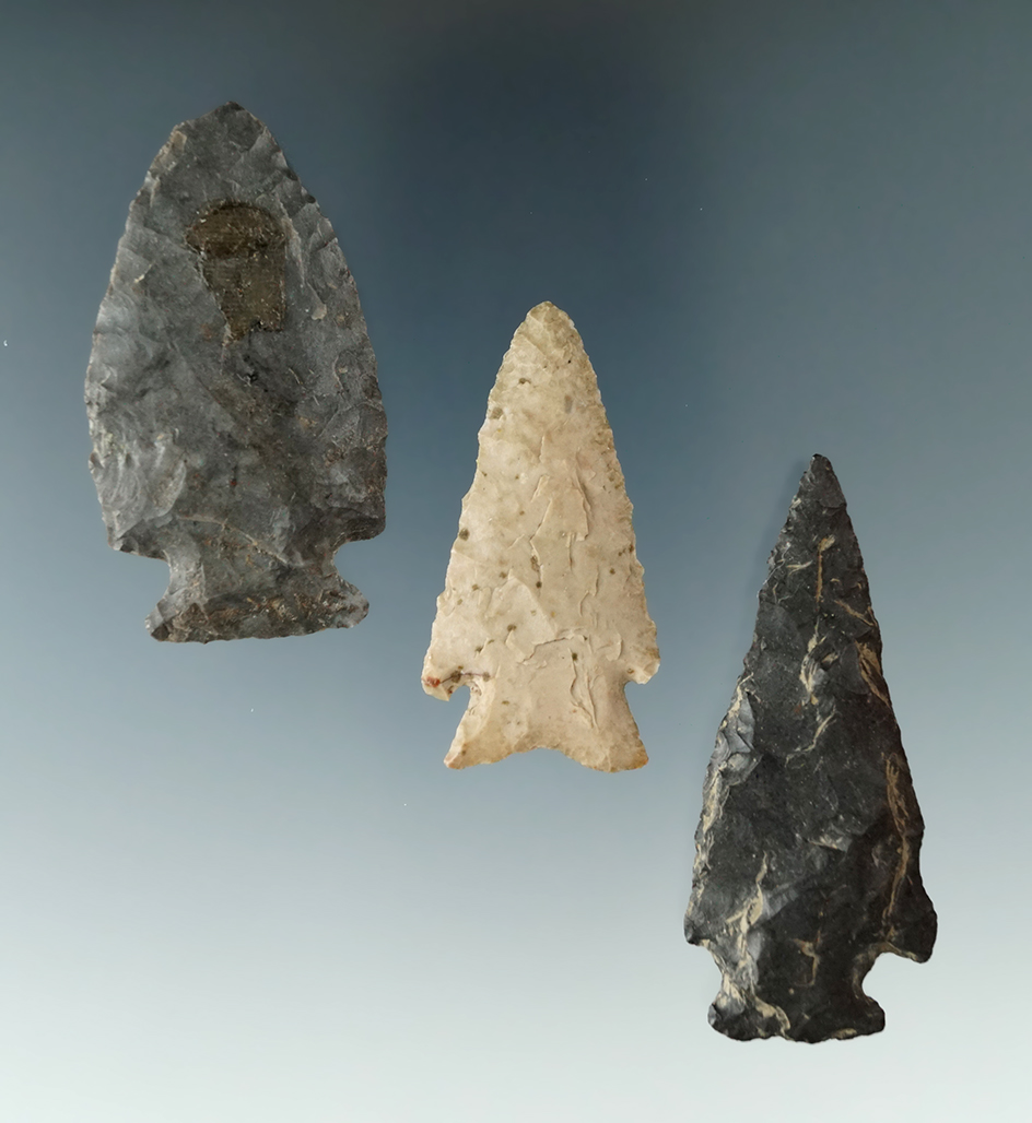 Main artifact image