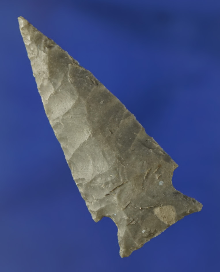 2" Ensor point that is thin and very well flaked found in Coryell County Texas.