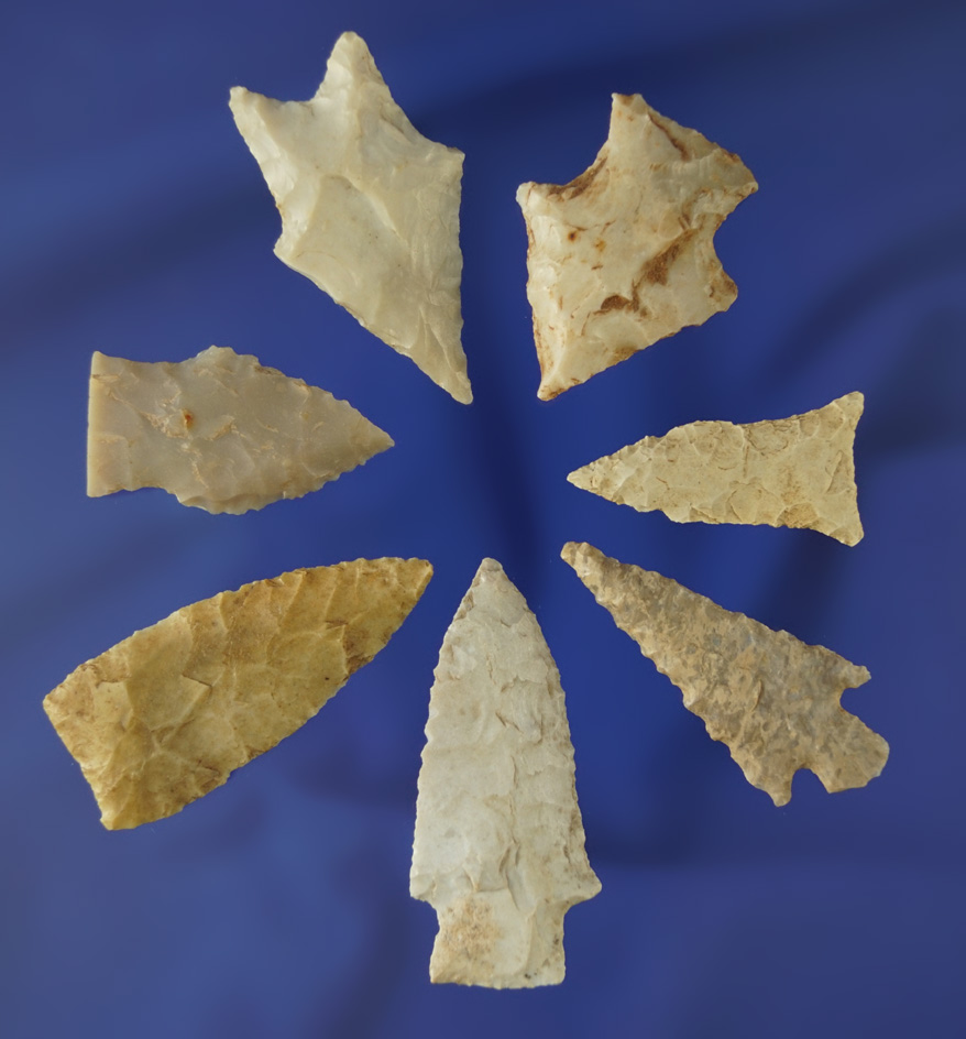 Group of seven assorted Texas area arrowheads, largest is 1 11/16".