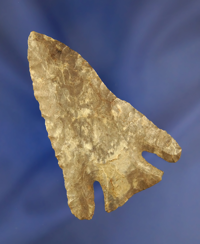 Main artifact image