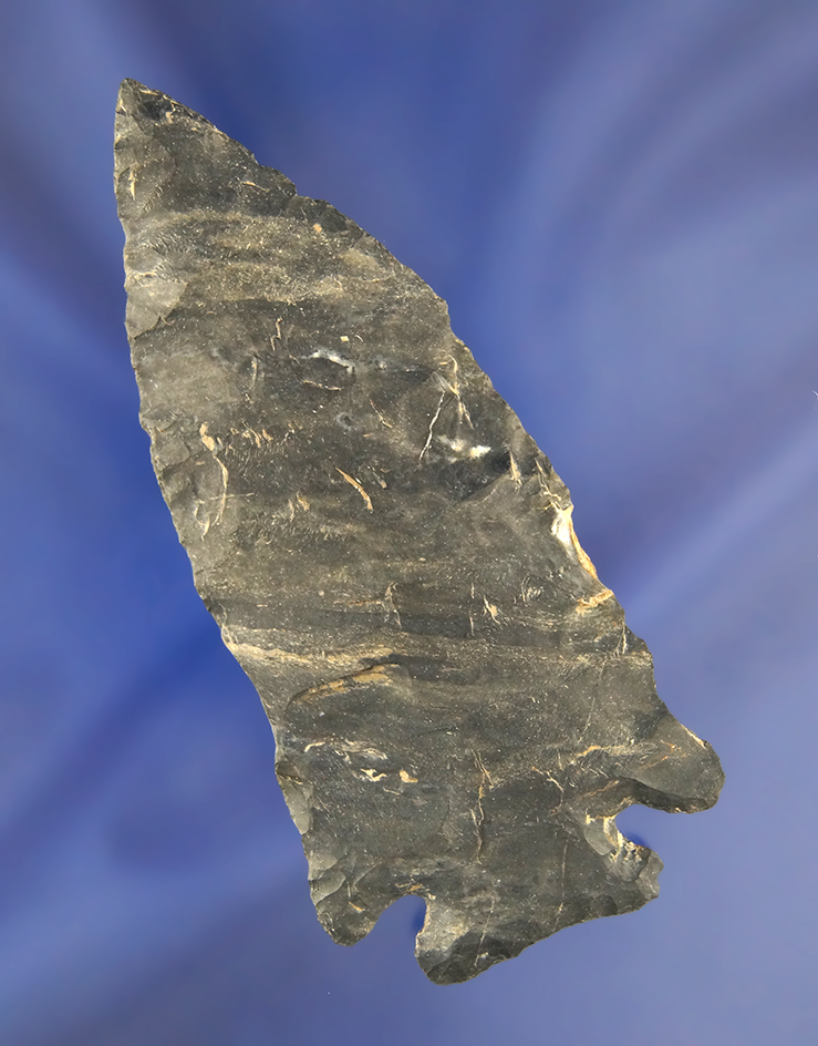 Main artifact image