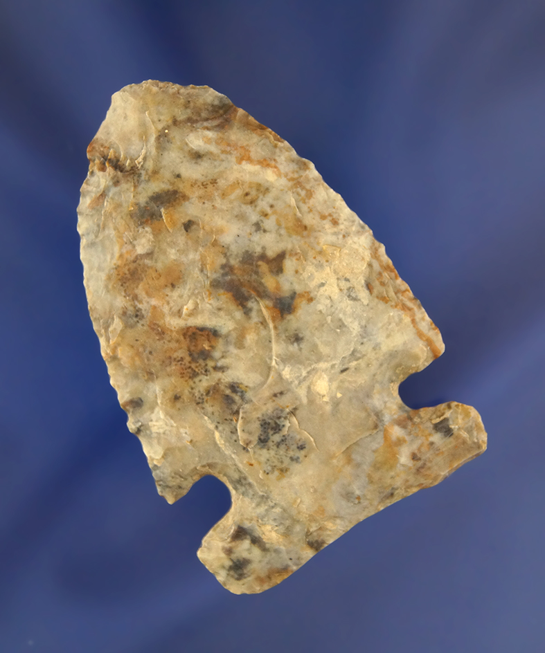 Main artifact image