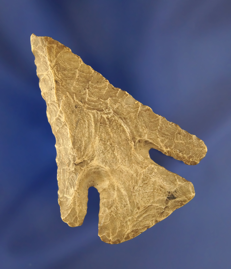 2 1/2" Archaic Thebes Bevel found in Ohio. Comes with a Davis COA.