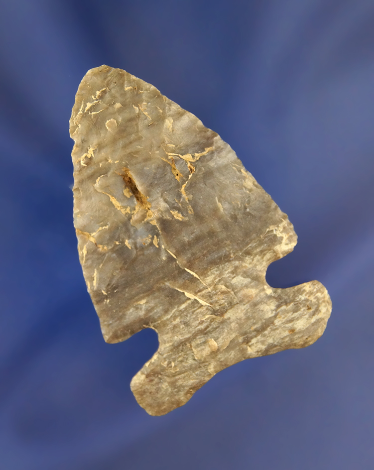 Main artifact image