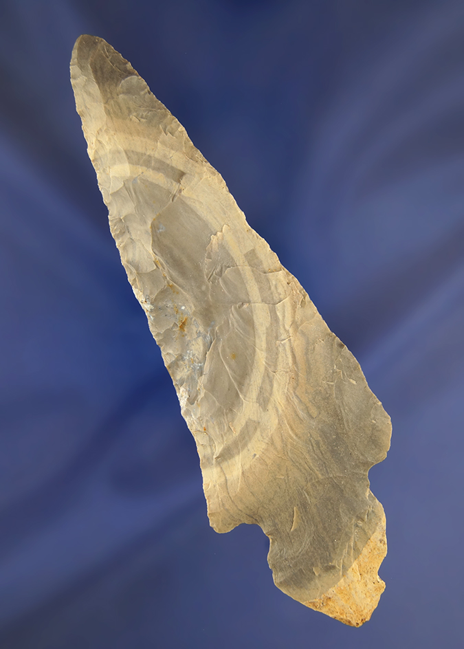Main artifact image