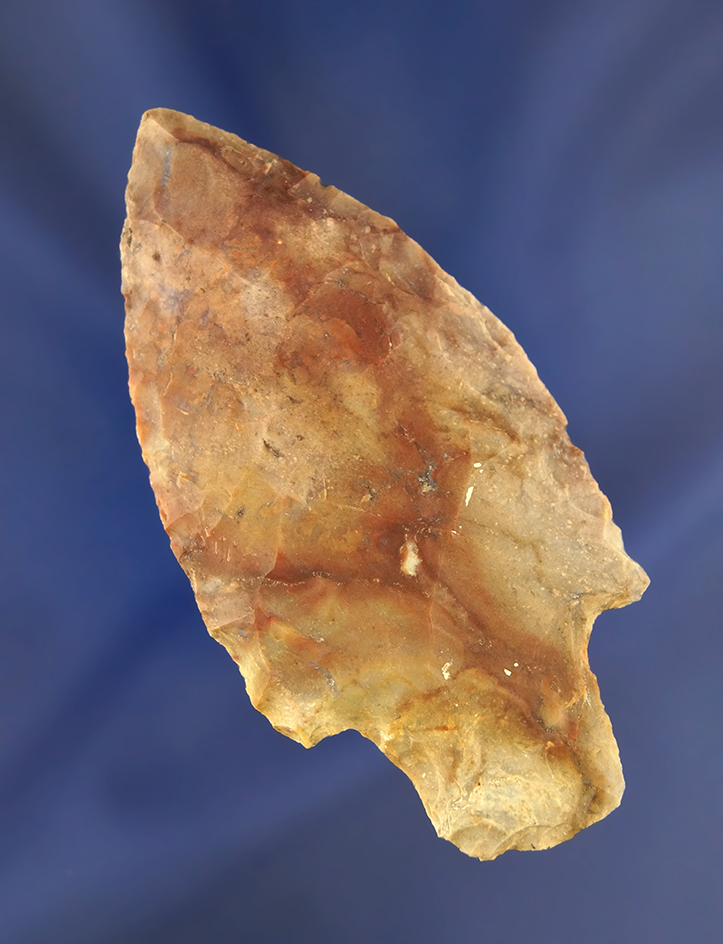 Main artifact image