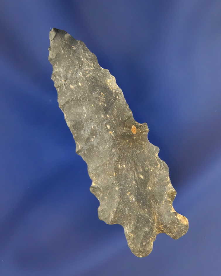 Main artifact image