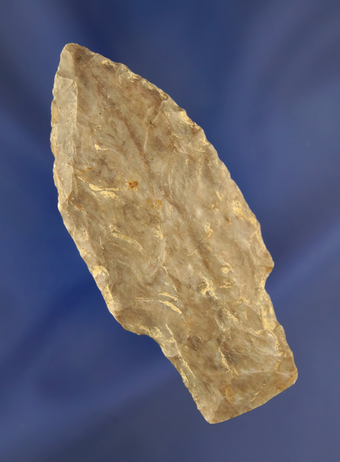 Main artifact image