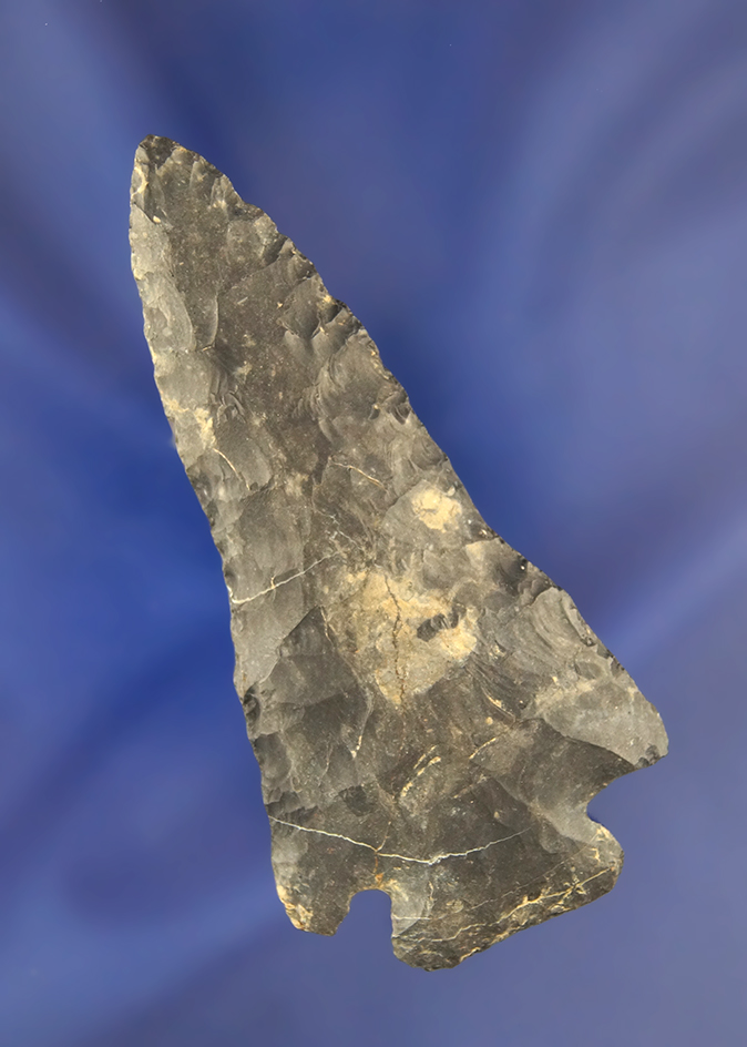 Main artifact image