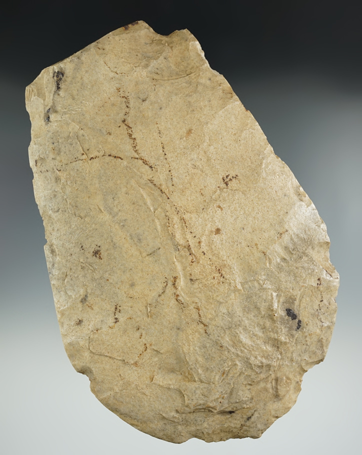 Main artifact image