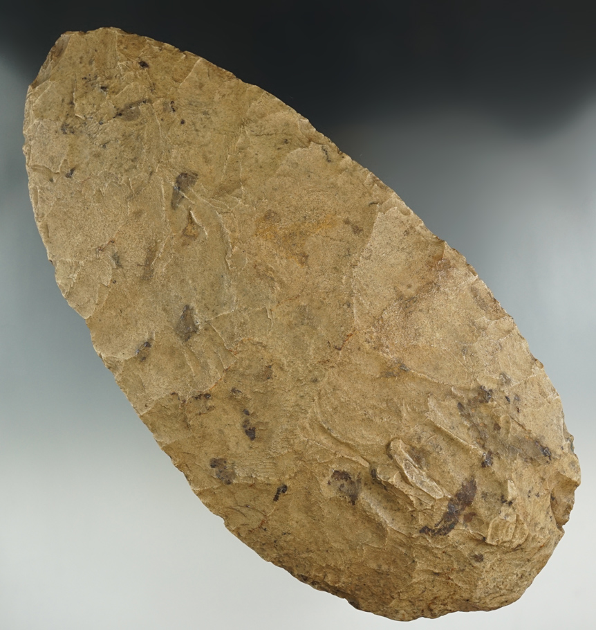 Main artifact image