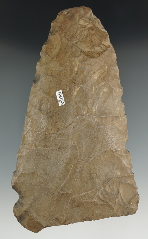 Main artifact image