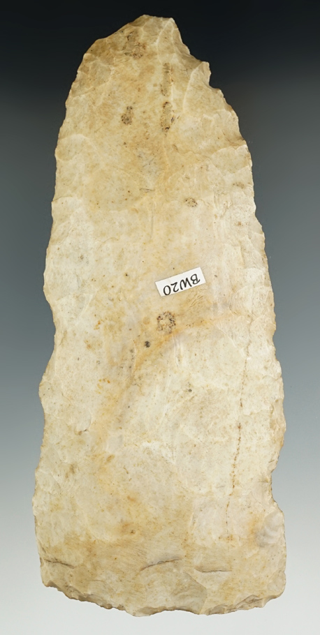 Main artifact image