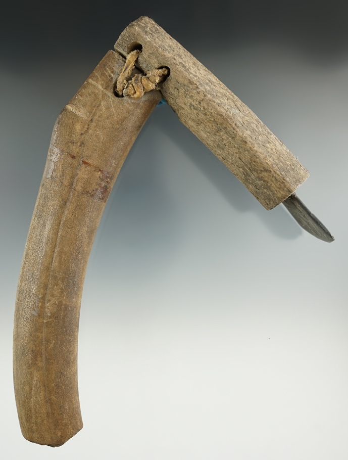 Main artifact image