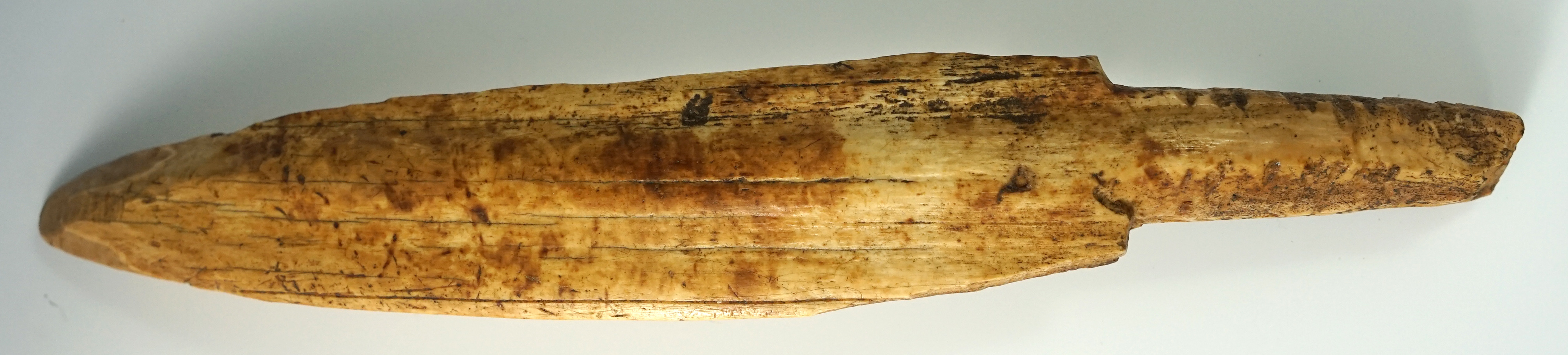 Main artifact image