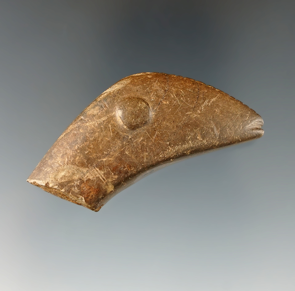 Main artifact image