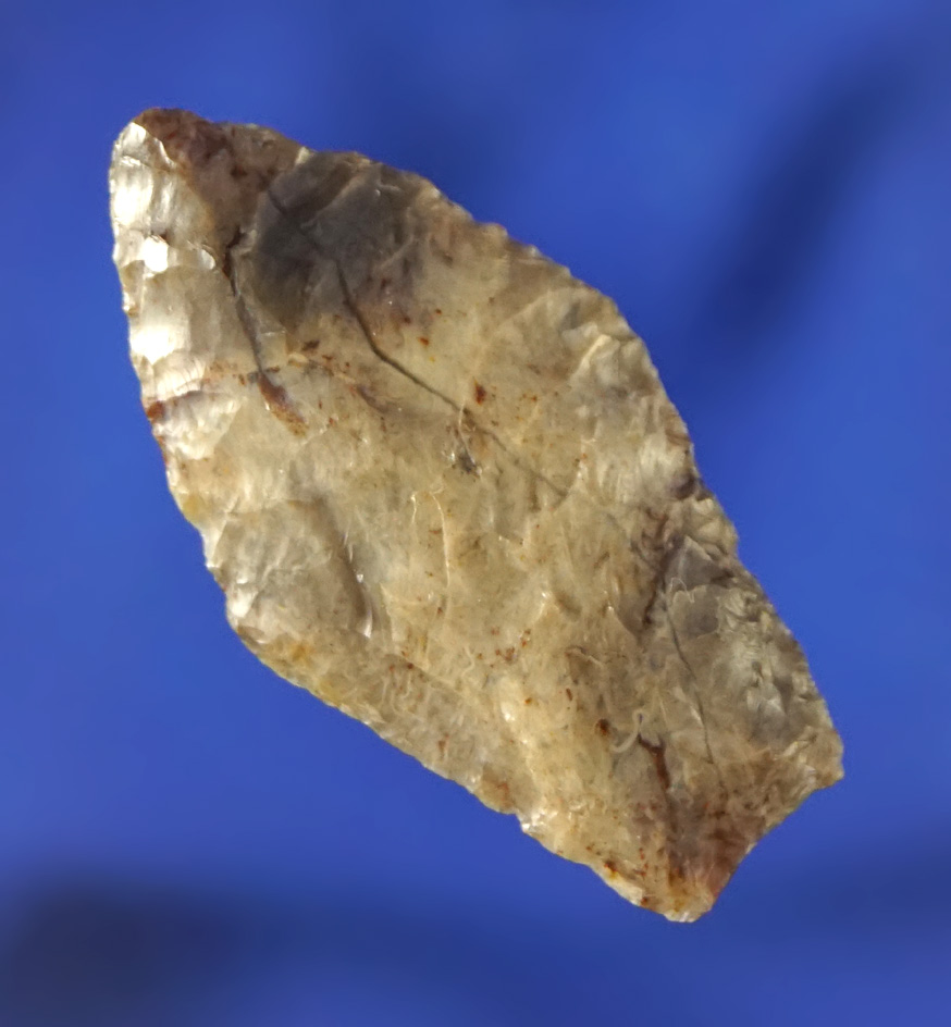 Paleo Windust-Spedis that is 1 1/4" long - Benton County Washington. Rogers and Michel COA's.