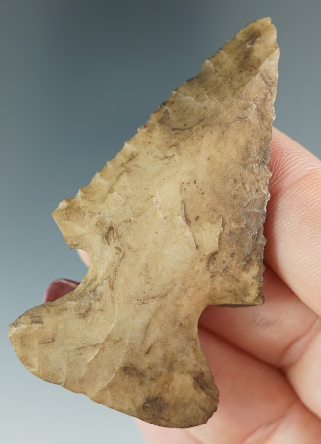Excellent style on this heavily patinated 2 9/16" Archaic Thebes Bevel found in Indiana.