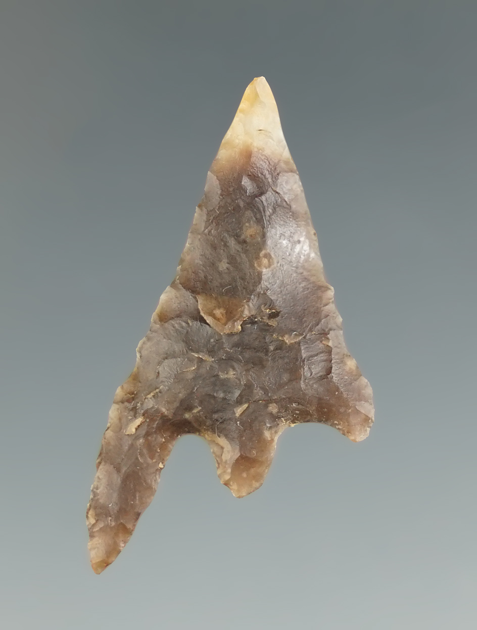 1 5/16" Gunther found in Coos Co., Oregon. Ex. Don Buckingham.