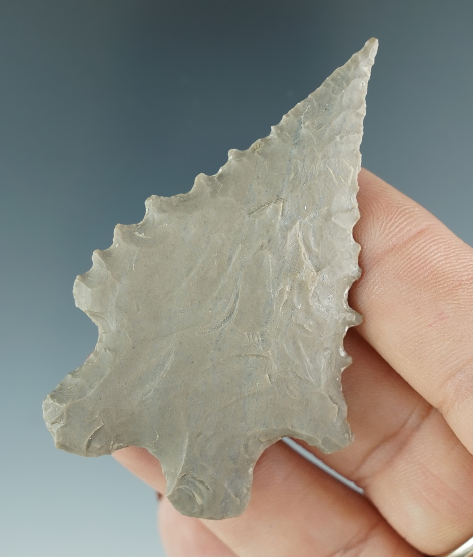 2 1/2" Hornstone Bifurcate with extreme serrations and blade edges found in Indiana.