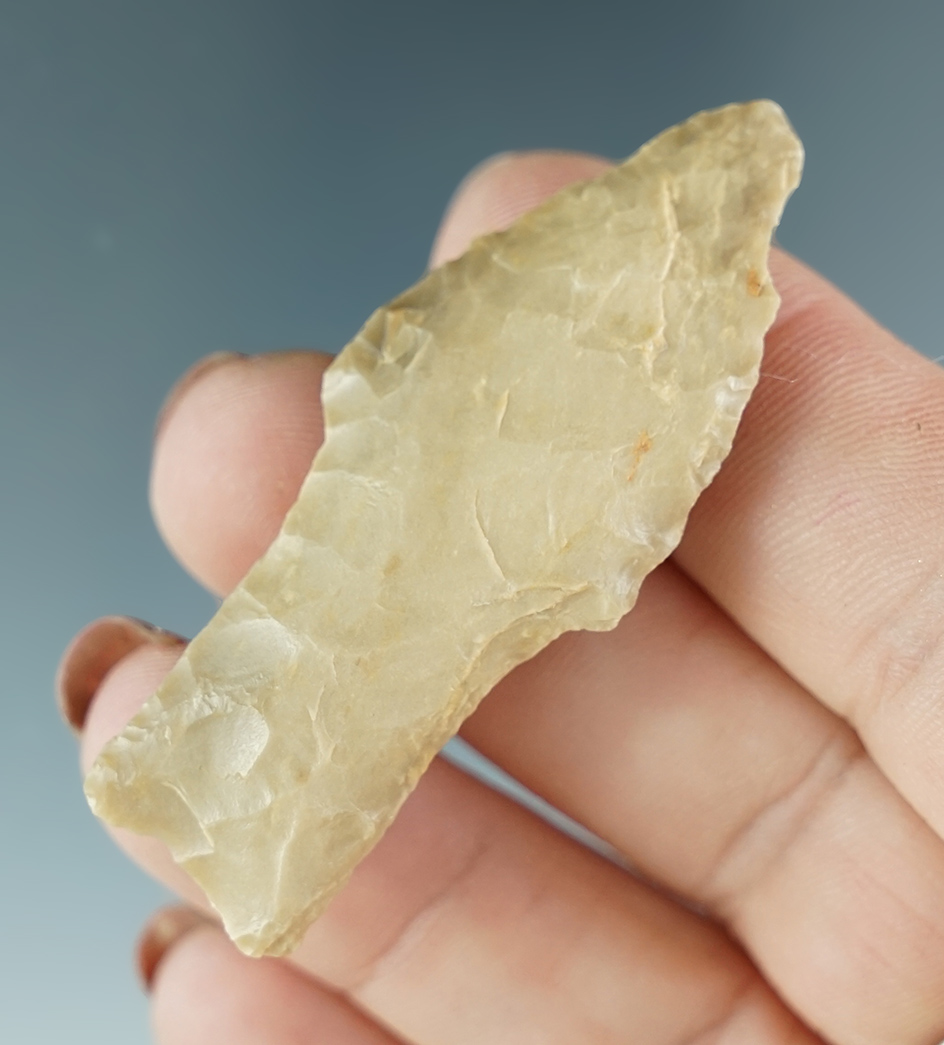 Main artifact image