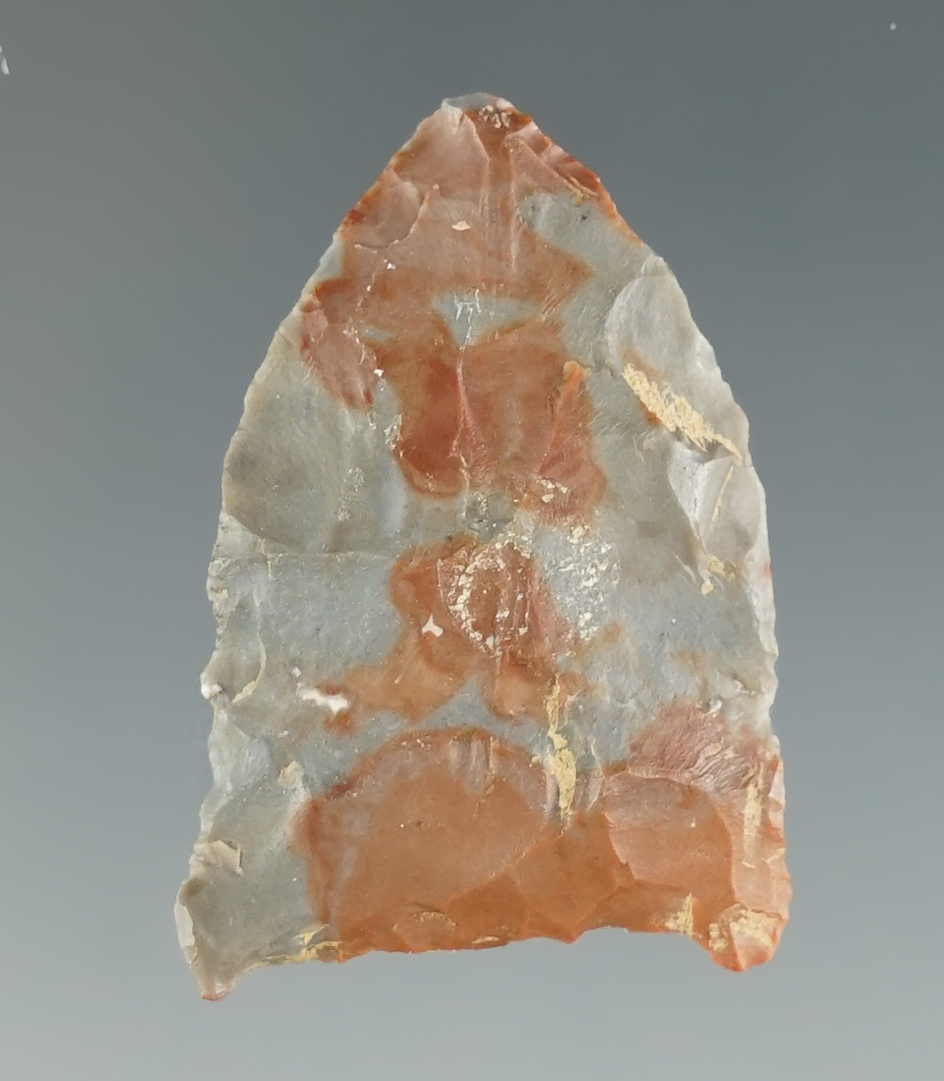 Main artifact image