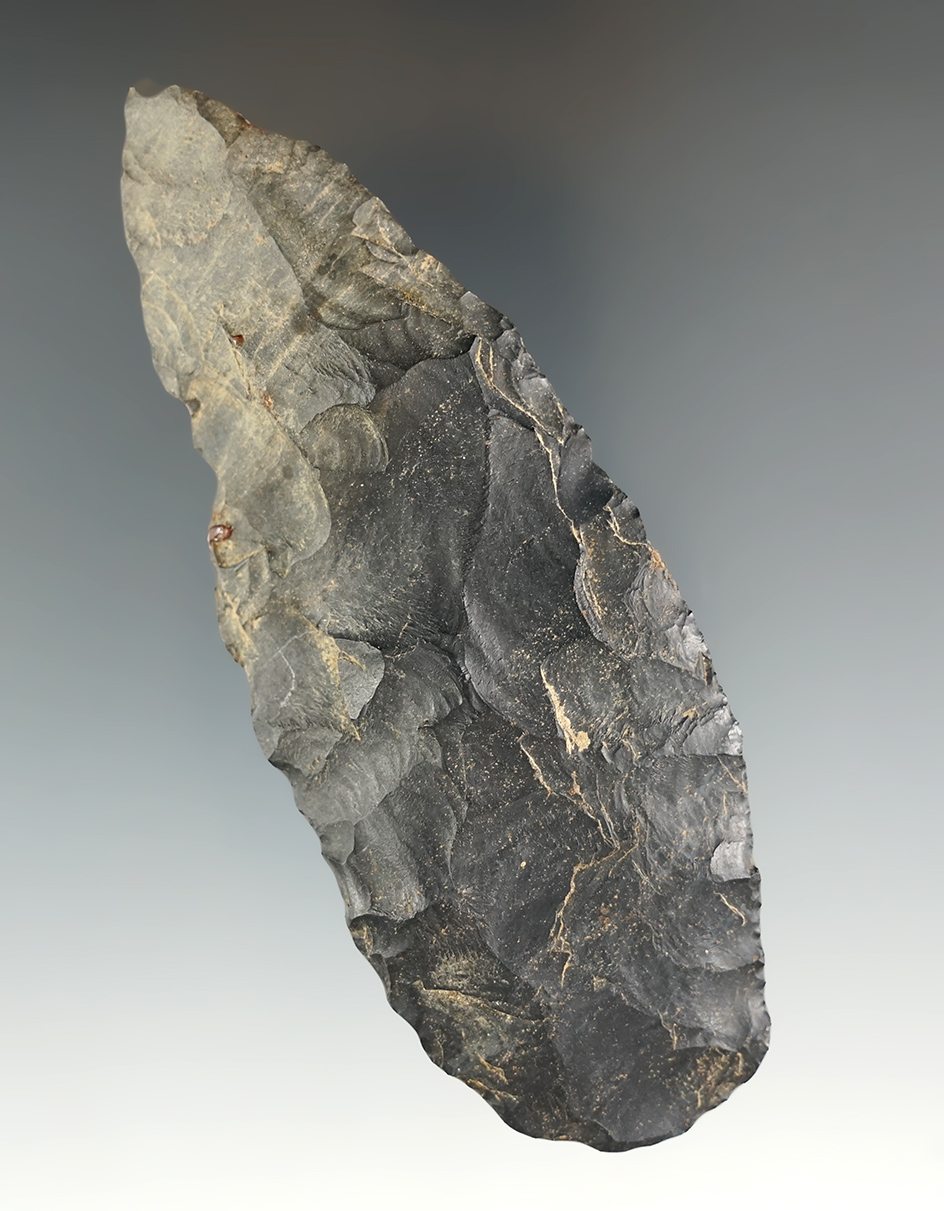 Main artifact image