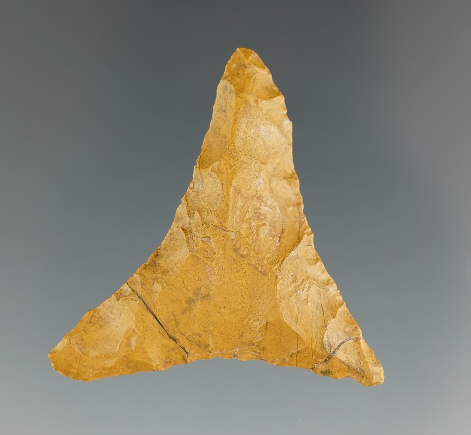 Main artifact image