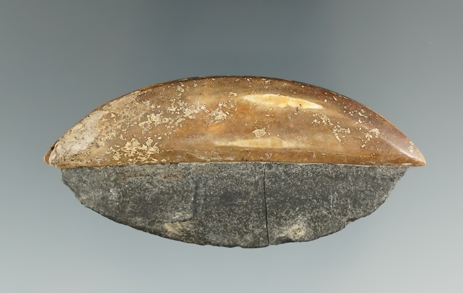 Main artifact image