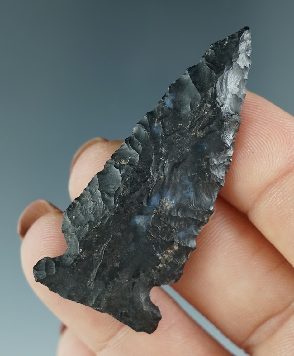 Main artifact image