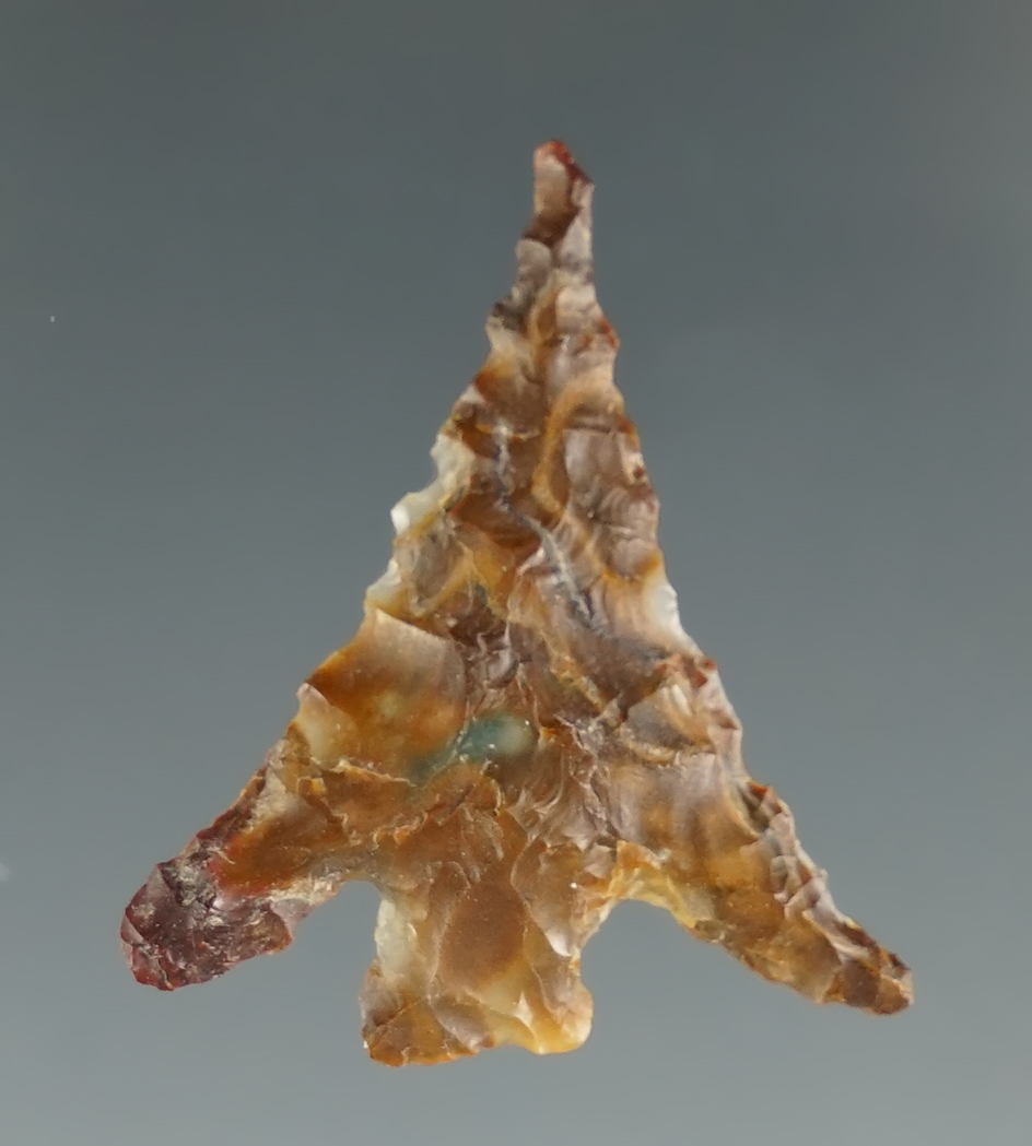 Beautiful swept ears on this 1 1/8" Multi-color semi translucent Agate Columbia Plateau - Oregon.