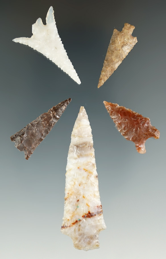 Set of five points found near the Columbia River, all with some degree of damage. Largest is glued.