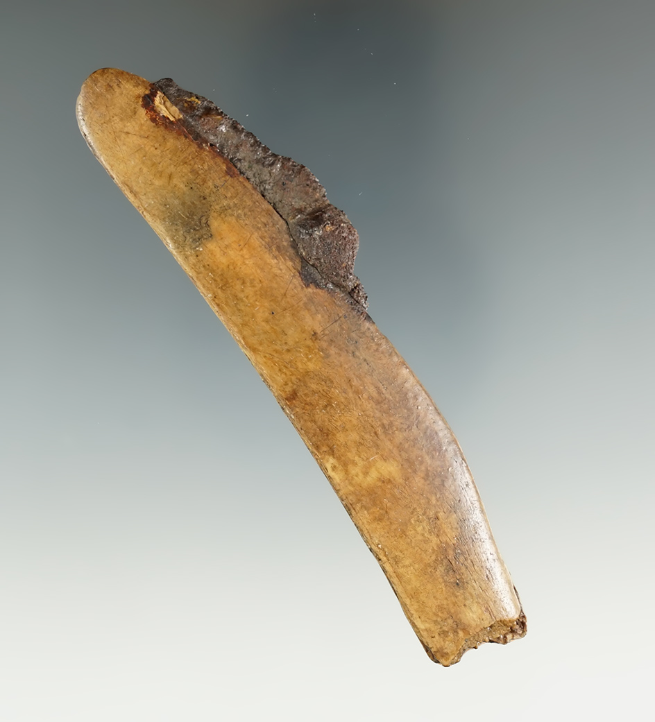 Main artifact image